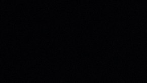 Para este 2025, Aldi ofrece la cena de Acción de Gracias por 7 dólares menos.