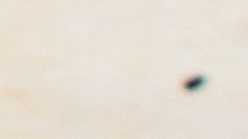 Un experto explica la importancia de cubrir los requerimientos de proteínas al día.