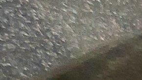 El procesador es un aliado para hacer masa de pizza, solo se debe procesar en ciclos cortos.