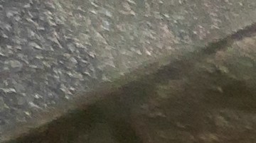 El procesador es un aliado para hacer masa de pizza, solo se debe procesar en ciclos cortos.