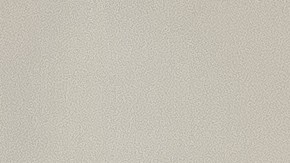 El acompañante de la joven que graba el video le sugirió que el anillo podía costar unos €10,000 euros y que incluso lo vendería.