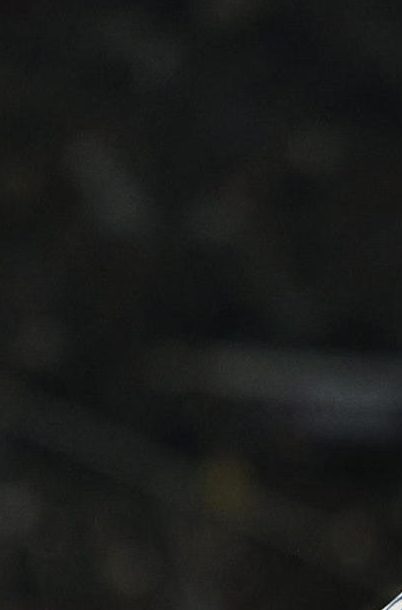 Mateo Silvetti de Argentina celebra un gol este miércoles, en un partido de las semifinales de la Copa del Mundo Sub-20 entre Argentina y Colombia en el estadio Nacional Julio Martínez Prádanos, en Santiago (Chile).