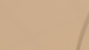 Así viene el mes para todos los signos del zodiaco.