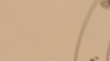 Así viene el mes para todos los signos del zodiaco.