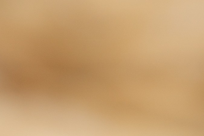 La avena es rica en fibra que al llegar al intestino actúa como prebiótico.
