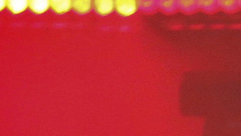 La reacción de Axl Rose rápidamente se volvió viral en redes sociales.