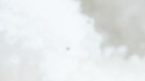 La empresa Sea Port Products Corp distribuyó un limitado lote de camarones entre julio y septiembre de 2025