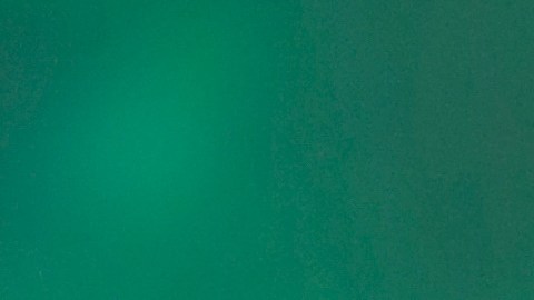 En otros temas, Villalobos aseguró que se siente muy contenta a nivel profesional.