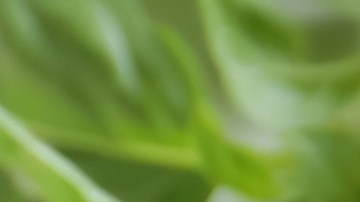 Las salchichas contiene aditivos perjudiciales para la salud.