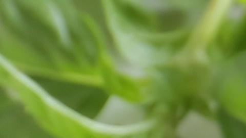 Las salchichas contiene aditivos perjudiciales para la salud.