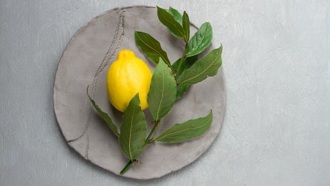 Para la mezcla aromatizante solo vas a necesitar la cáscara de uno o dos limones, además de tres o cuatro hojas de laurel.