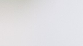 Quienes alcanzan edades avanzadas (incluso más de 100 años) y se mantienen lúcidos, activos y felices suelen tener un motivo que los impulsa cada mañana.