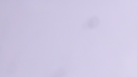 El juicio de Chris Brown por presunta agresión contra Abraham “Abe” Diaw comenzará en octubre de 2026.