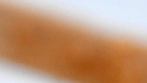 Two,Corn,Dogs,With,Mustard,On,A,White,Plate