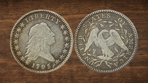 El anverso muestra a Lady Liberty con el cabello suelto, símbolo de libertad, mientras que en el reverso figura un águila rodeada por una corona de ramas (imagen referencial).