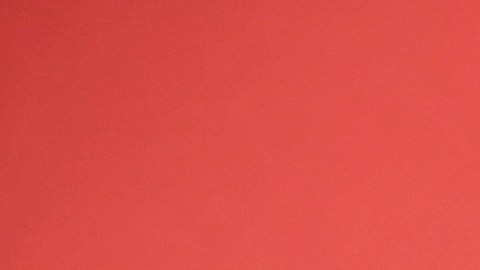 Dua Lipa suele incluir frases en español durante sus conciertos y entrevistas.