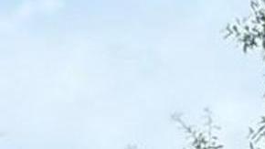 Fotografía publicada en la cuenta oficial @RonDeSantis de la red social X del gobernador de Florida, Ron DeSantis, donde se muestra una placa de la calle 'Charlie Kirk Memorial Highway', en el condado de Lake, en el centro de Florida (Estados Unidos).