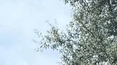 Fotografía publicada en la cuenta oficial @RonDeSantis de la red social X del gobernador de Florida, Ron DeSantis, donde se muestra una placa de la calle 'Charlie Kirk Memorial Highway', en el condado de Lake, en el centro de Florida (Estados Unidos).