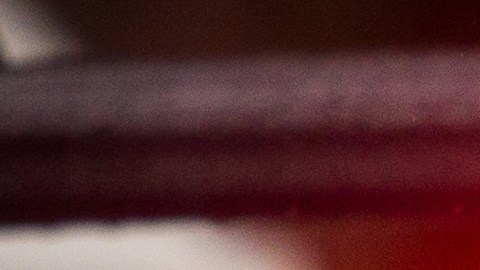 El mal olor llevó a descubrir el cadáver de una mujer en El Bronx