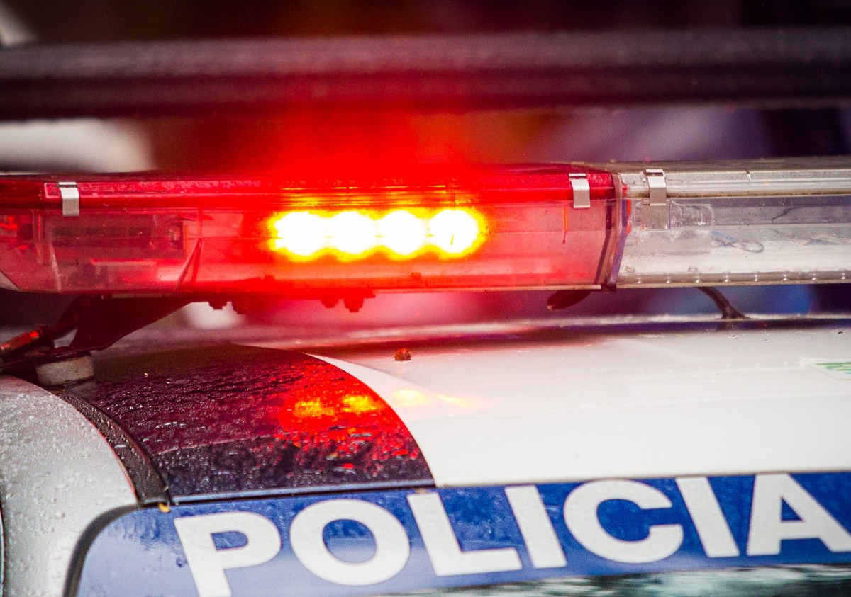 El mal olor llevó a descubrir el cadáver de una mujer en El Bronx