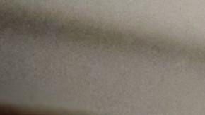 empleos-aburridos-50-dolares-la-hora