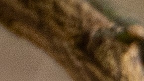 empleos-jubilados-estados-unidos