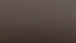 Choque entre Eric Adams y periodista por libro de Jasmine Ray: "Eres una persona enferma"