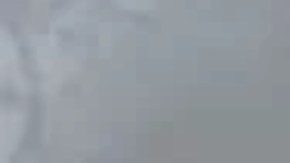 Foto policial de Brandie Covington, la mujer acusada de querer "volar" una escuela, según la policía.