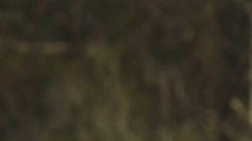 Gasolinera PUMA en Puerto Rico