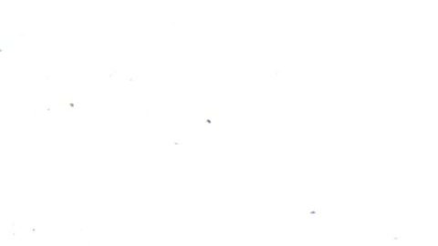 Gloria Trevi y Mary Boquitas fueron amigas antes de que ambas quedaran involucradas en el llamado clan Trevi-Andrade.