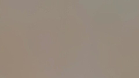 Según datos oficiales, la app Gemini ya cuenta con más de 650 millones de usuarios activos, una cifra que superó significativamente las expectivas fijadas para octubre (500 millones).