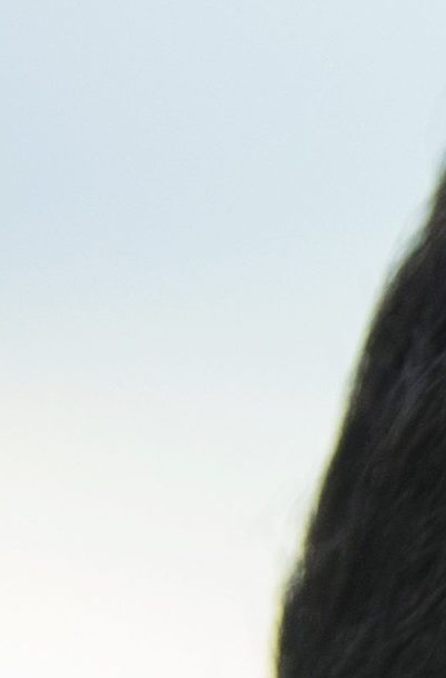 Andrés Guardado desembarca del avión con la selección mexicana de fútbol en el aeropuerto internacional Sheremetyevo, en las afueras de Moscú, Rusia, el lunes 11 de junio de 2018, para competir en la Copa Mundial de la FIFA Rusia 2018.