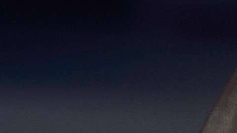 Hay hierbas medicinales que son efectivas para eliminar gases y la hinchazón.