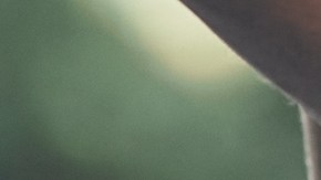 Hombre armado detenido en Miami: “Estoy en este mundo para matar venezolanos”