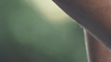 Hombre armado detenido en Miami: “Estoy en este mundo para matar venezolanos”