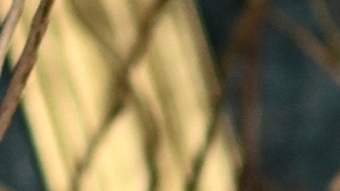 The New York Times ha defendido la solidez de su cobertura sobre las denuncias de Blake Lively contra Justin Baldoni.