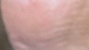 Kamala Harris pide a los estadounidenses orar por la salud de Joe Biden