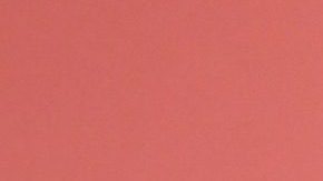 La colección destaca el color naranja y estampados de flor de loto y coco, reflejo de los gráficos del álbum del Karol G.