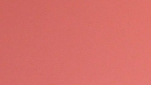 La colección destaca el color naranja y estampados de flor de loto y coco, reflejo de los gráficos del álbum del Karol G.