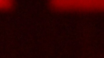 Karol G sorprendió al desfilar con un modelito de encaje y espectaculares alas rojas.