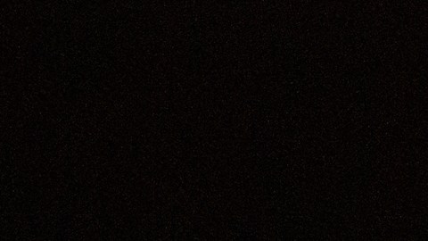 Gobierno de Trump despidió a la fiscal que se negó a presentar cargos contra Letitia James