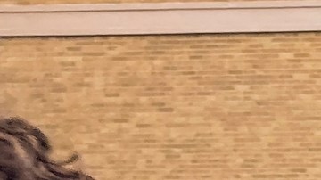 Caótica redada de ICE en Manhattan deja varios detenidos y genera protestas: “Deberían avergonzarse”