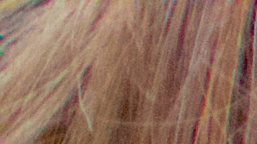 La mujer fue arrestada y acusada de “denuncia falsa de crimen” y “declaraciones falsas a la policía”.