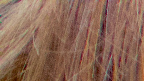 La mujer fue arrestada y acusada de “denuncia falsa de crimen” y “declaraciones falsas a la policía”.