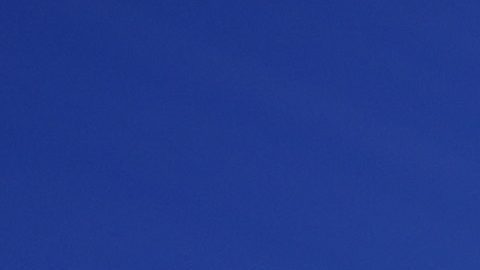 Los participantes se acercan a la línea de meta del Maratón de la Ciudad de Nueva York, el domingo 3 de noviembre de 2024, en Nueva York.