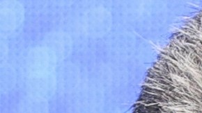 Zohran Mamdani calificó a Maduro de dictador y lo culpó por la migración venezolana