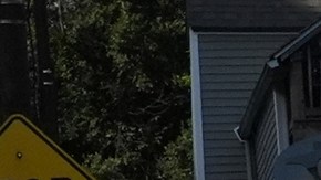 El terror que dejan en niños de Chicago las redadas migratorias: “Esto no es vida”