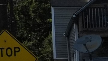 El terror que dejan en niños de Chicago las redadas migratorias: “Esto no es vida”