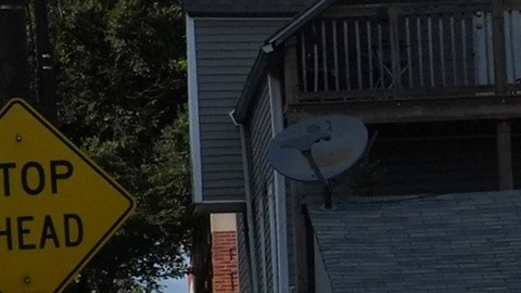 El terror que dejan en niños de Chicago las redadas migratorias: “Esto no es vida”