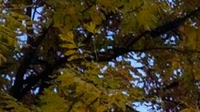 Venezuela cierra embajada en Noruega tras el Premio Nobel de la Paz a la opositora María Corina Machado